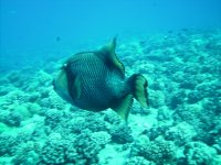 PICT0029.JPG
