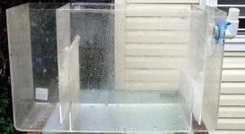 Pro Clear 175 Mud Sump Refugium P1040750 copy.jpg