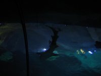 IMG_9368.jpg