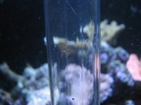 IMG_3610.jpg