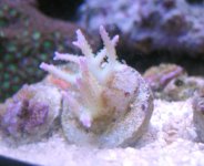 old memory card 002.jpg