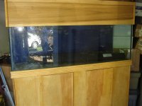 tank12.jpg