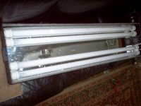 retro 2 (500 x 375).jpg