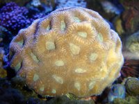 frags_013.sized.jpg