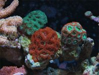 JOSE MICROS.jpg JOSE MICROS.jpg