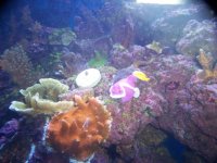 100_2682.jpg