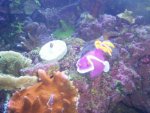 100_2683.jpg