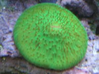 IMG_0630.jpg