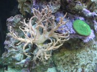 IMG_0631.jpg