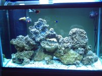 pictures of kids and new 150 gallon tank  9-2007 035.jpg