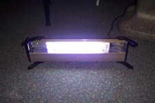 Light 1.jpg