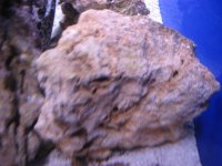 IMG_1522.JPG