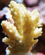 DSC_0050.JPG