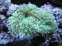 DSCN0856.JPG