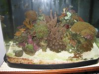 Michael Being silly 012.jpg