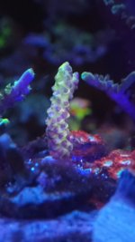 20221130_223442.jpg 20221130_223442.jpg