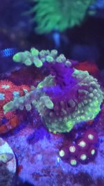 20221201_224209.jpg 20221201_224209.jpg