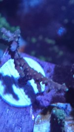 20221201_223929.jpg 20221201_223929.jpg