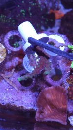 20221202_192026.jpg 20221202_192026.jpg