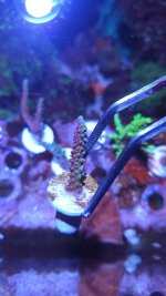 20221202_191838.jpg 20221202_191838.jpg