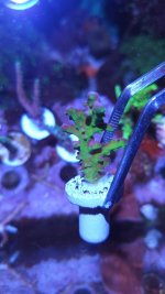 20221202_191825.jpg 20221202_191825.jpg