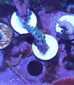 20221202_191745.jpg 20221202_191745.jpg