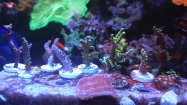 20221202_191711.jpg 20221202_191711.jpg