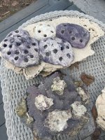 image6.jpeg