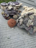 image7.jpeg