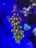 70BC3B34-D41F-473E-AC90-A0A9D759AB5C.jpeg