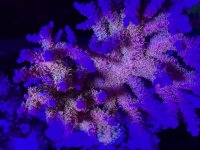 7ED2B44B-E7EB-400A-A3E9-6240A9EAE284.jpeg