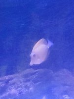 IMG_20221220_224844.jpg