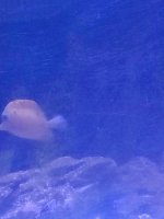 IMG_20221220_224845.jpg