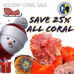 CORAL SALE.jpeg