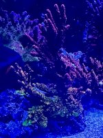 B25F1FBC-D460-4C0F-8500-701752B0E7AA.jpeg