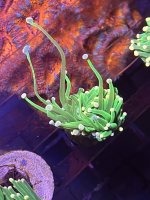 91F15578-991C-4BC0-BE4E-2403935140D3.jpeg