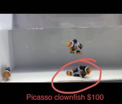 6B250F3D-470F-48DE-A705-1EE91B8F9B2F.jpeg