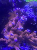 3D57CE51-CA9E-46D4-8C5F-A8C4EFD8231E.jpeg