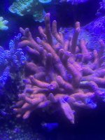 495C5120-016D-45C0-AC10-70FB30D9110A.jpeg