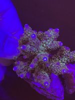 C90A0E9D-765A-4015-B249-17308FDBE256.jpeg