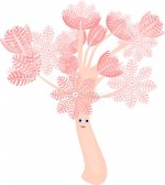 funny-pumping-xenia-coral-soft-white-background-67842723.jpg