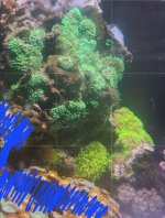 Screenshot_20230107_001934_Photo Editor.jpg