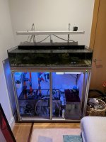 IMG_1724.jpeg