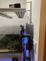 IMG_1730.jpeg