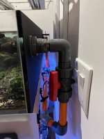 IMG_1731.jpeg