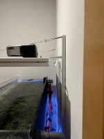 IMG_1732.jpeg
