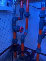 IMG_1733.jpeg