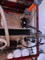 IMG_1735.jpeg