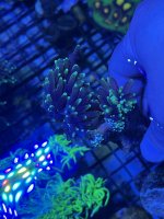 F493E7CD-420D-460F-886E-0365EAC57D02.jpeg