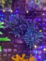 image3 (5).jpeg